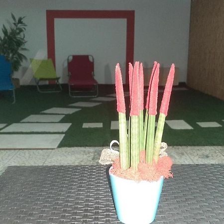Appartamento Casa Settima essenza Surbo Esterno foto
